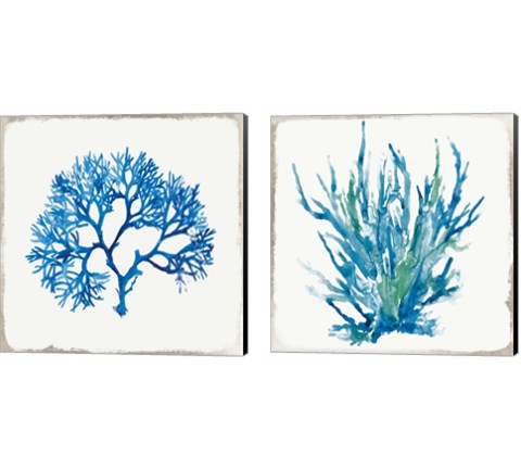 Blue Coral 2 Piece Canvas Print Set by Aimee Wilson
