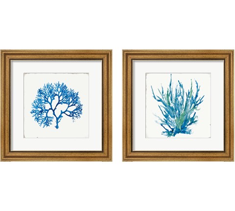 Blue Coral 2 Piece Framed Art Print Set by Aimee Wilson
