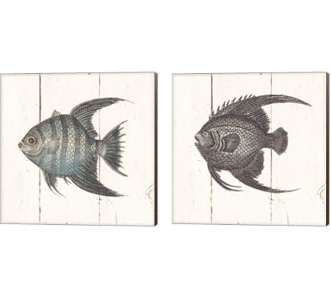 Fish Sketches Shiplap2 Piece Canvas Print Set by Wild Apple Portfolio