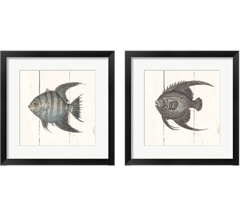 Fish Sketches Shiplap2 Piece Framed Art Print Set by Wild Apple Portfolio