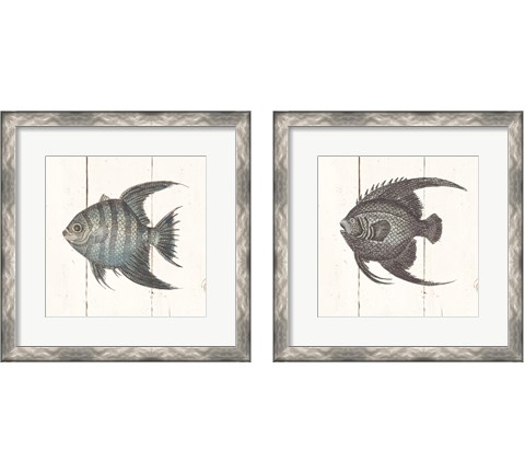 Fish Sketches Shiplap2 Piece Framed Art Print Set by Wild Apple Portfolio