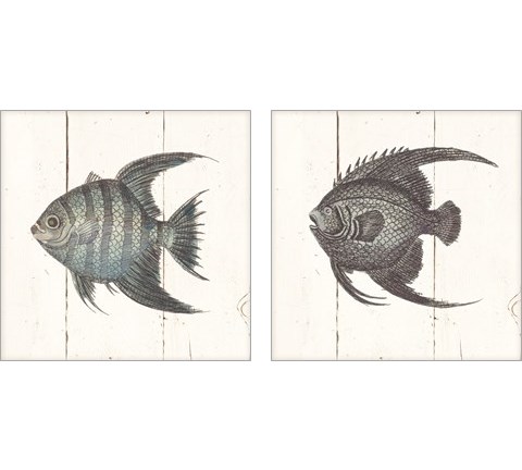 Fish Sketches Shiplap2 Piece Art Print Set by Wild Apple Portfolio
