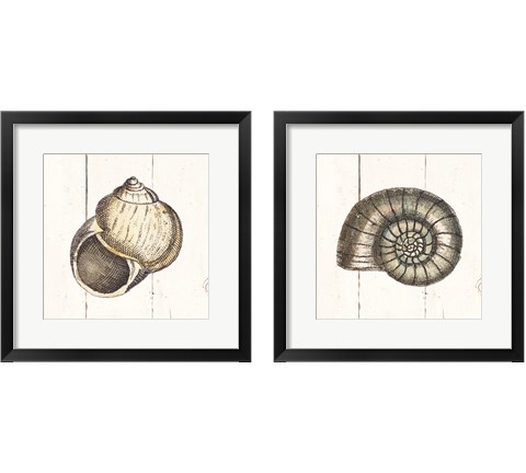 Shell Sketches Shiplap 2 Piece Framed Art Print Set by Wild Apple Portfolio