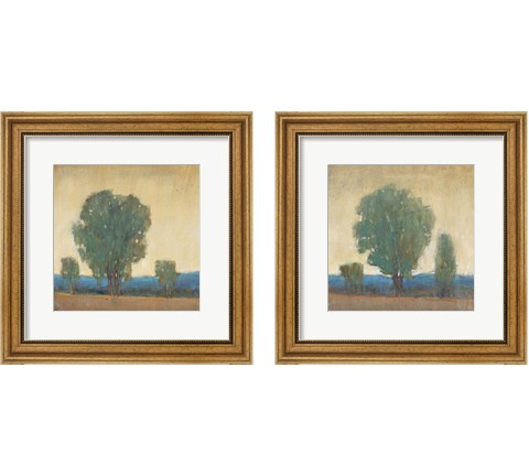 Clearing Storm 2 Piece Framed Art Print Set by Timothy O'Toole