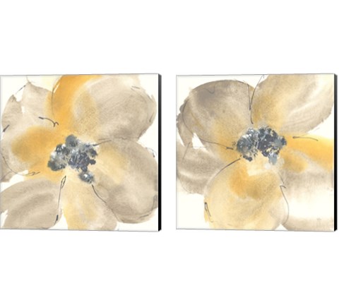 Flower Tones 2 Piece Canvas Print Set by Chris Paschke