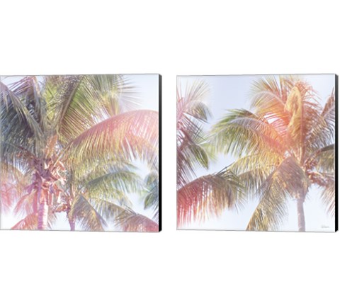 Dream Palm 2 Piece Canvas Print Set by Sue Schlabach