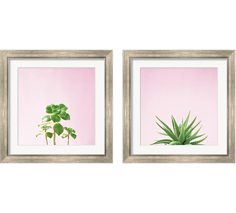 Succulent Simplicity on Pink 2 Piece Framed Art Print Set by Felicity Bradley