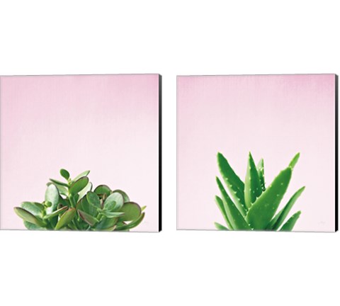Succulent Simplicity on Pink 2 Piece Canvas Print Set by Felicity Bradley