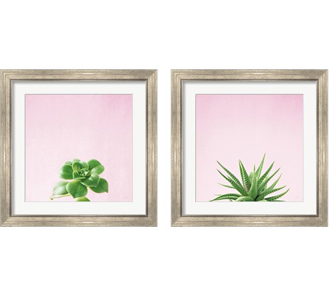 Succulent Simplicity on Pink 2 Piece Framed Art Print Set by Felicity Bradley