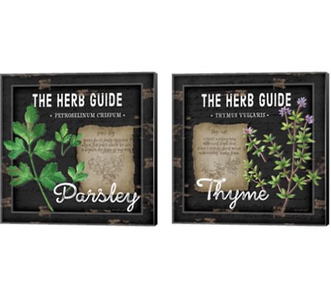 Herb Guide 2 Piece Canvas Print Set by Jennifer Pugh