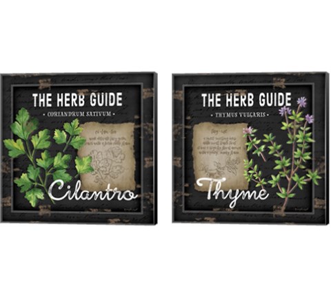 Herb Guide 2 Piece Canvas Print Set by Jennifer Pugh