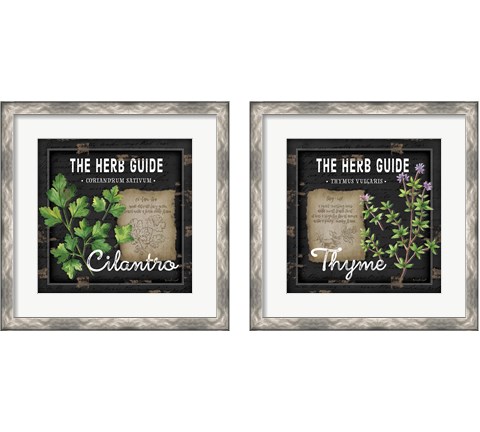 Herb Guide 2 Piece Framed Art Print Set by Jennifer Pugh