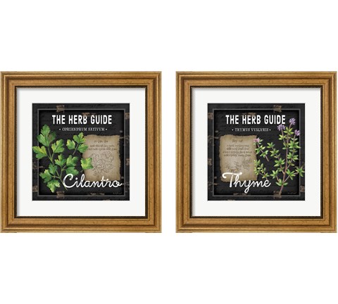 Herb Guide 2 Piece Framed Art Print Set by Jennifer Pugh