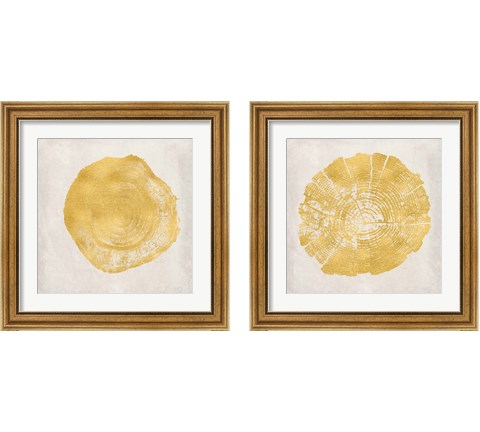 Tree Stump Golden 2 Piece Framed Art Print Set by Ramona Murdock