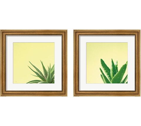 Succulent Simplicity 2 Piece Framed Art Print Set by Felicity Bradley