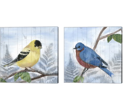 Eastern Songbird 2 Piece Canvas Print Set by Alicia Ludwig