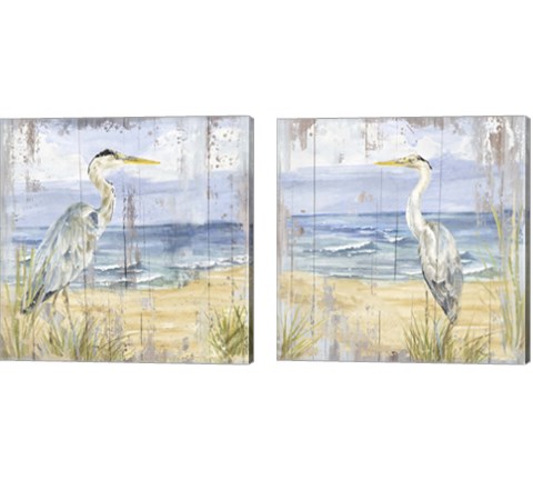 Birds of the Coast Rustic 2 Piece Canvas Print Set by Tara Reed