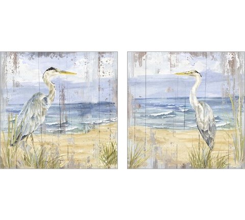 Birds of the Coast Rustic 2 Piece Art Print Set by Tara Reed