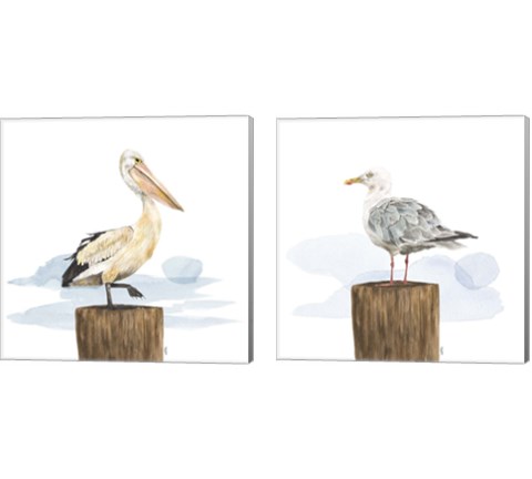 Birds of the Coast 2 Piece Canvas Print Set by Tara Reed