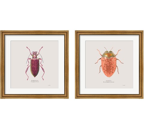Adorning Coleoptera 2 Piece Framed Art Print Set by James Wiens