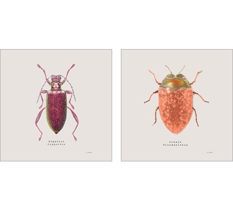 Adorning Coleoptera 2 Piece Art Print Set by James Wiens