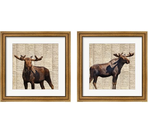 Country Moose 2 Piece Framed Art Print Set by Anna Coppel
