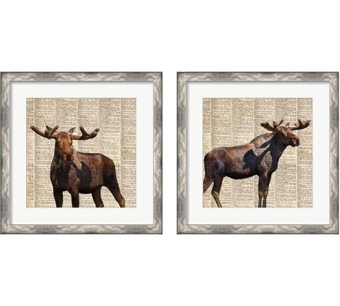 Country Moose 2 Piece Framed Art Print Set by Anna Coppel