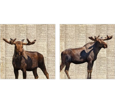 Country Moose 2 Piece Art Print Set by Anna Coppel
