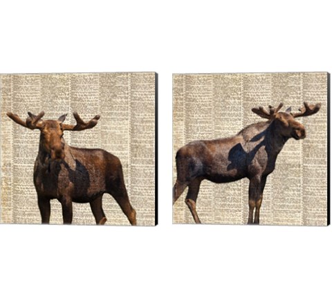 Country Moose 2 Piece Canvas Print Set by Anna Coppel