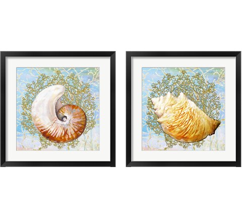 Shell Medley 2 Piece Framed Art Print Set by Diannart