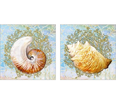 Shell Medley 2 Piece Art Print Set by Diannart