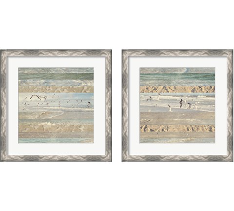 Flying Beach Birds 2 Piece Framed Art Print Set by Dan Meneely