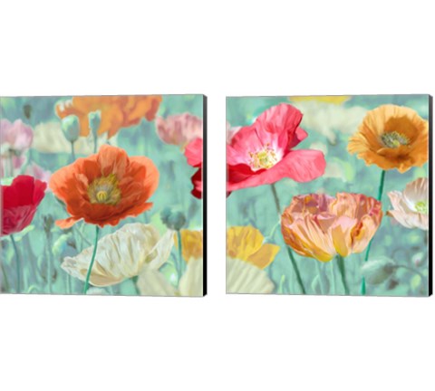 Poppies in Bloom  2 Piece Canvas Print Set by Cynthia Ann