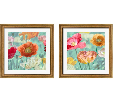 Poppies in Bloom  2 Piece Framed Art Print Set by Cynthia Ann