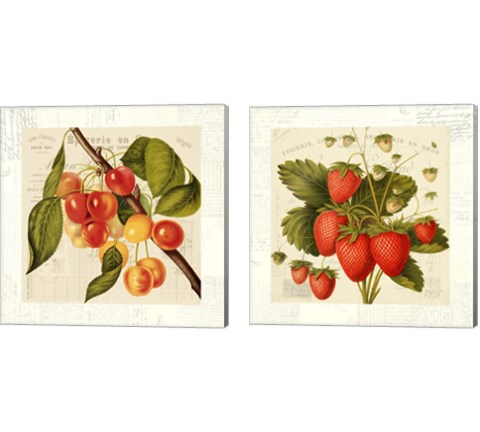 Cerises 2 Piece Canvas Print Set by Remy Dellal