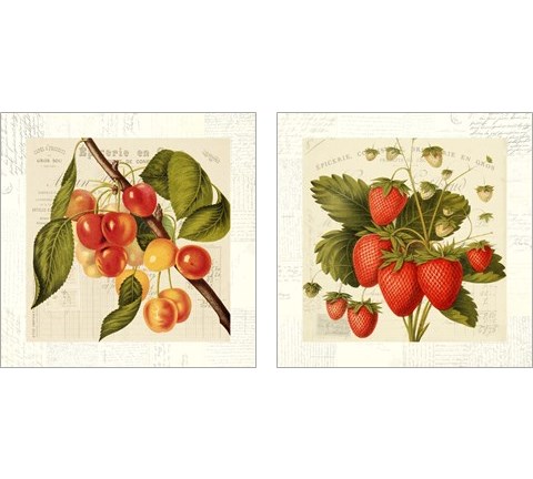 Cerises 2 Piece Art Print Set by Remy Dellal