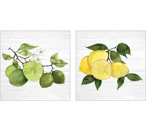 Citrus Garden Shiplap 2 Piece Art Print Set by Kathleen Parr McKenna
