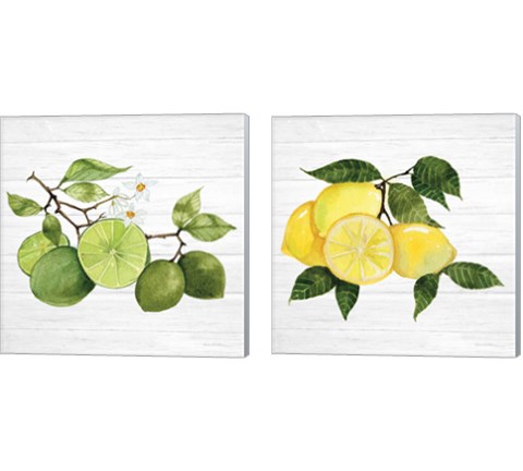 Citrus Garden Shiplap 2 Piece Canvas Print Set by Kathleen Parr McKenna