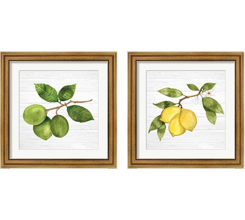 Citrus Garden Shiplap 2 Piece Framed Art Print Set by Kathleen Parr McKenna
