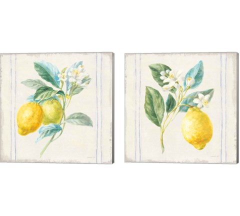 Floursack Lemons Sq Navy 2 Piece Canvas Print Set by Danhui Nai
