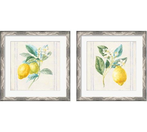 Floursack Lemons Sq Navy 2 Piece Framed Art Print Set by Danhui Nai
