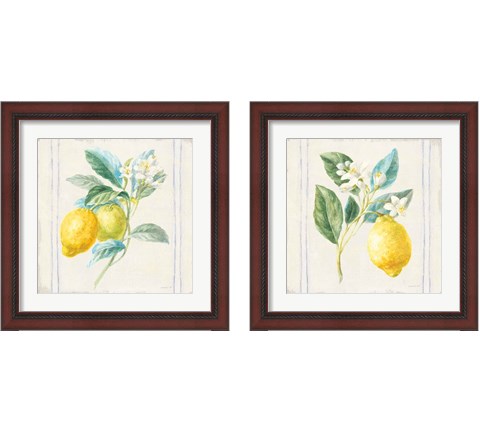 Floursack Lemons Sq Navy 2 Piece Framed Art Print Set by Danhui Nai