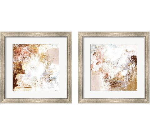 Blush & Umber 2 Piece Framed Art Print Set by Victoria Borges