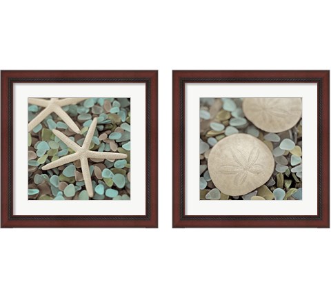 Aquatic 2 Piece Framed Art Print Set by Alan Blaustein