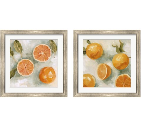 Fresh Citrus 2 Piece Framed Art Print Set by Emma Scarvey