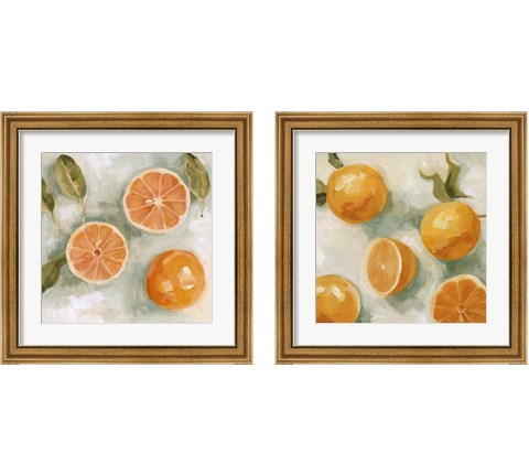 Fresh Citrus 2 Piece Framed Art Print Set by Emma Scarvey