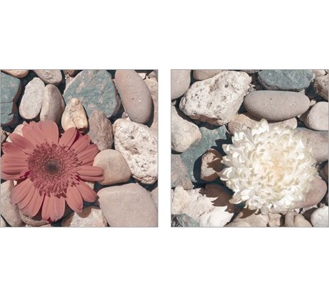 Stone Crop 2 Piece Art Print Set by Jason Johnson