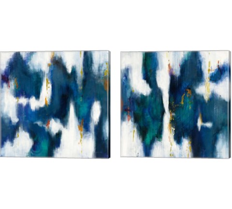 Blue Texture 2 Piece Canvas Print Set by Danhui Nai
