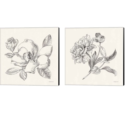 Flower Sketches 2 Piece Canvas Print Set by Danhui Nai