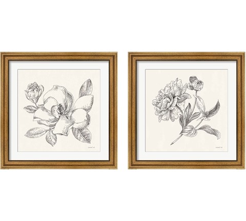Flower Sketches 2 Piece Framed Art Print Set by Danhui Nai